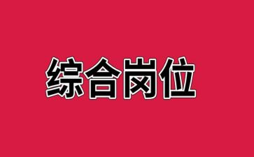 综合岗年终总结个人总结8篇