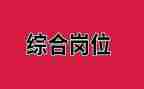 综合岗年终总结个人总结8篇