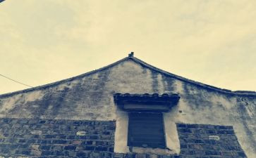 我和谁一起走过作文5篇