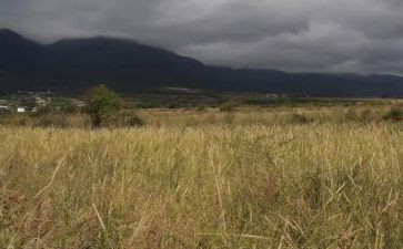 平房租赁合同8篇