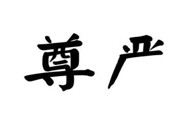 有关尊严的作文7篇