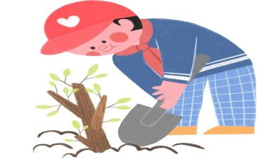 中学实践心得体会最新7篇