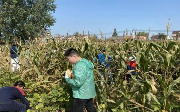 中国人中国节演讲稿5篇