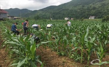 个人向银行贷款申请书7篇