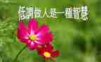 做人的演讲稿通用8篇