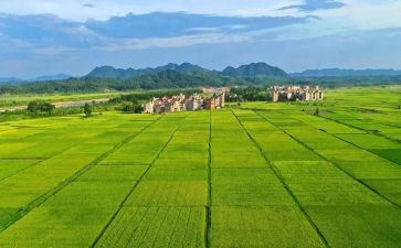 2023年度酒店工作总结7篇
