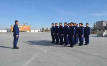 组训的工作总结7篇